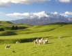 Бум на туризма в Нова Зеландия