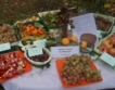 МЕТРО прави 9 центъра за родни плодове & зеленчуци