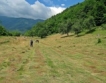 85 % от българите: Природата е най-важна