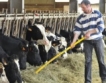 Ирландия:Доминират био млечни ферми