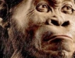 Откритие: Древният човек се е зародил в Чирпан