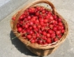 Най-евтините сезонни плодове в Благоевград 