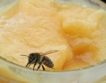 240 хил. тона мед се произвеждат в ЕС