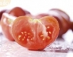 Нов сорт домати "Алено сърце"