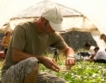 ЕС: Хиляди българи работят "на черно" в земеделието