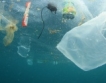 Пластмасата в океаните: факти и мерки