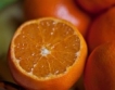 6,2 млн. тона портокали от ЕС