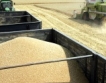 По-малък износ на пшеница & брашно