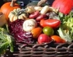 Устойчиво отглеждане на плодове & зеленчуци