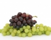 Плевен: сортове грозде, Шабла - най-едрите плодове
