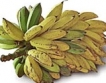 Известен сорт банани изчезва...