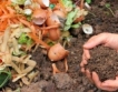 Харманли строи инсталация за разделно компостиране