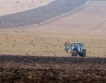 Регион Добрич: Засети 435 000 дка с пшеница