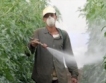 Германия: €155 млн. глоба заради пестициди
