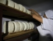 Фалшиво сирене от български производител