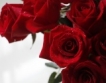Русия: Срив в производството на рози