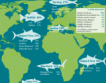 Риболовът в ЕС + инфографики