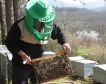 ДФЗ подписа договорите по пчеларската програма