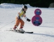 Витоша домакин на ски състезания