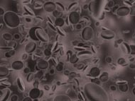 blood_cells1